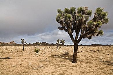 《天国：拯救2》将在夏季游戏节上公布新预告